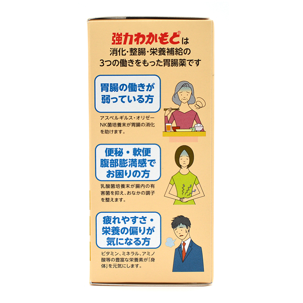 강력 와카모토 위장약 300정