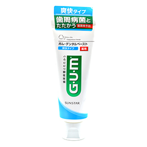 GUM 덴탈 치약 상쾌한 타입 120g