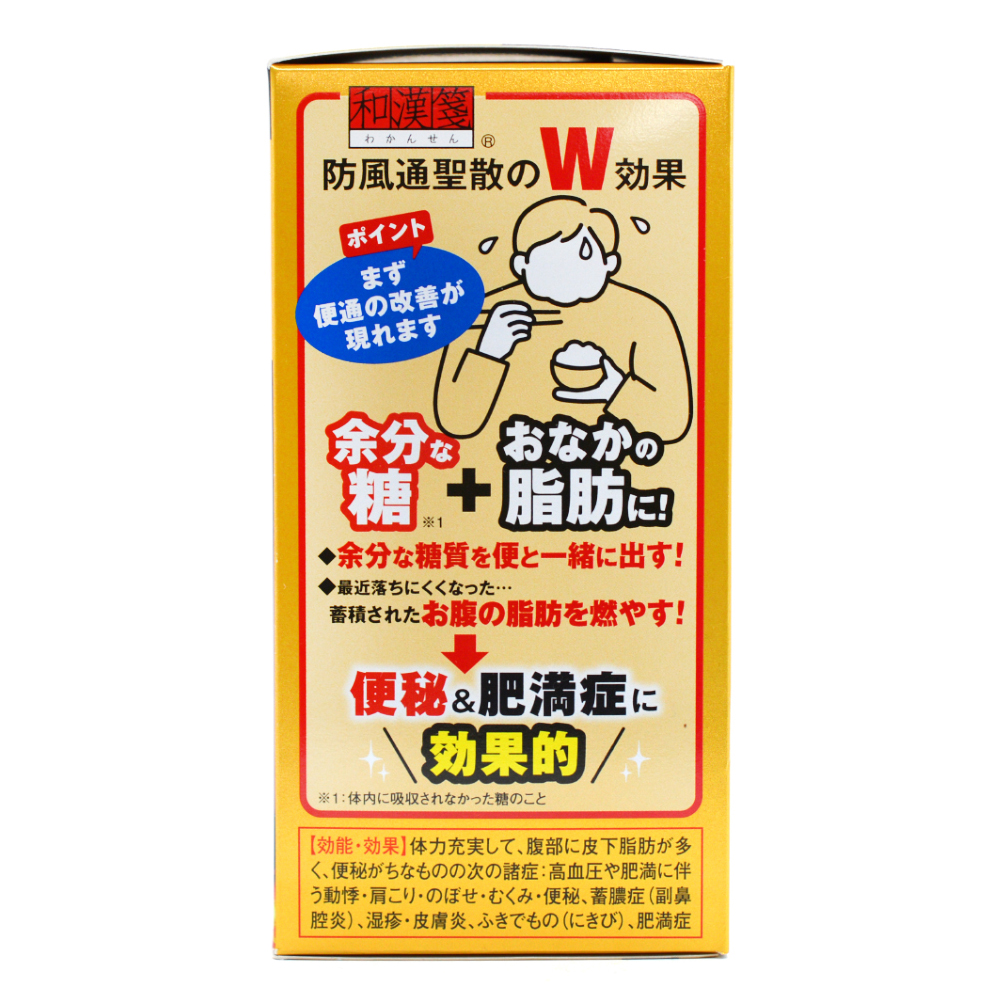 로토제약 방풍통성산 만량a 360정 (지방분해,연소에 도움)