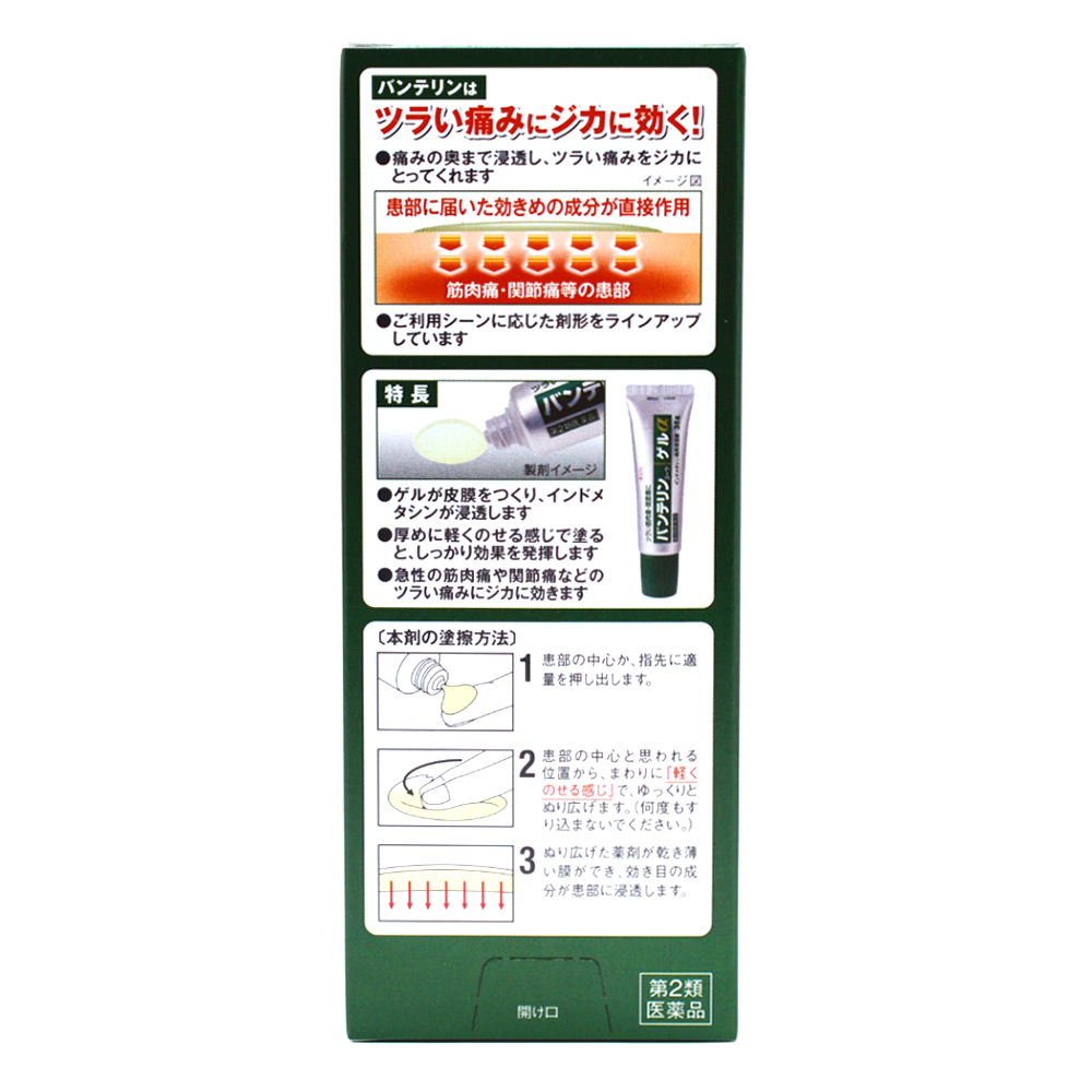 반테린 코와 α 파스 (근육통・관절통) 젤타입 35g