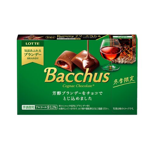 [겨울한정] 롯데제과 프리미엄 박카스 초코렛