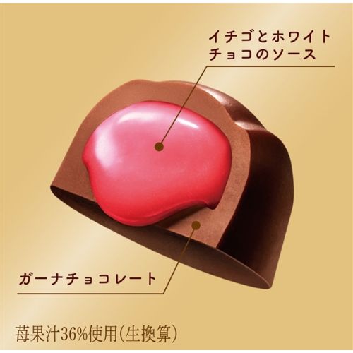  [계절한정] 롯데제과 프리미엄 가나 딸기 쇼콜라 〈앙피니망 프레즈〉