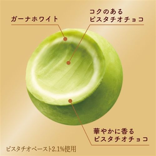  [계절한정] 롯데제과 프리미엄 가나 피스타치오 트러플〈앙피니망 피스타슈〉
